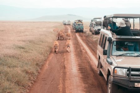 Day 2 Ngorongoro Crater Safari and Journey to Arusha or KIA for Zanzibar Flight (Small)