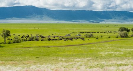 Day 6 A Day of Discovery from Serengeti Savannas to Ngorongoro Crater (Small)