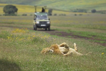 Day 6 Ngorongoro Crater Tour and Departure (Small)
