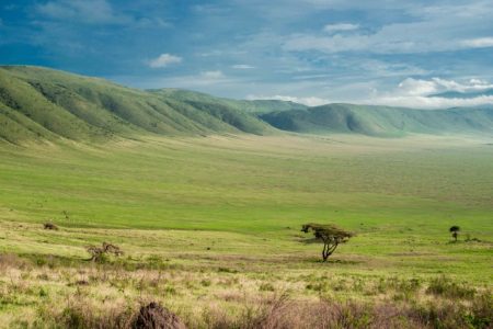 Day 9 Ngorongoro Highlands to Kilimanjaro International Airport (JRO (Small)