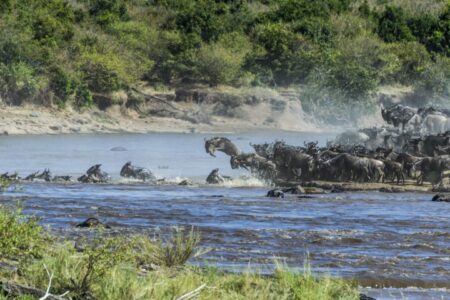 Day 7 Immersive Safari in the Serengeti (CentralNorthSouth) (Custom)